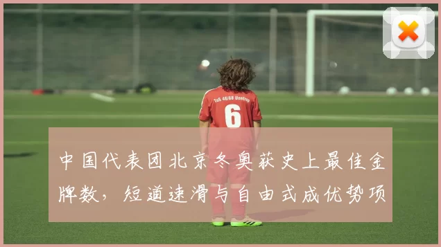 中国代表团北京冬奥获史上最佳金牌数,短道速滑与自由式成优势项目