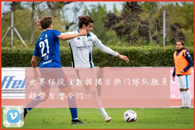 世界杯投注数据揭示热门球队胜负趋势与潜冷门