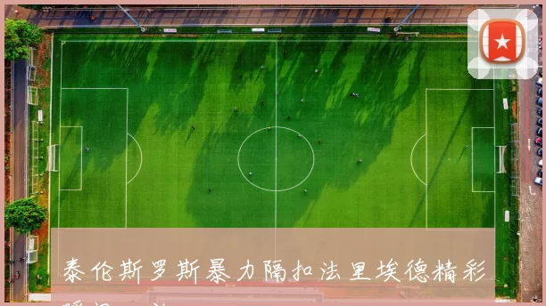 泰伦斯罗斯暴力隔扣法里埃德精彩瞬间回放