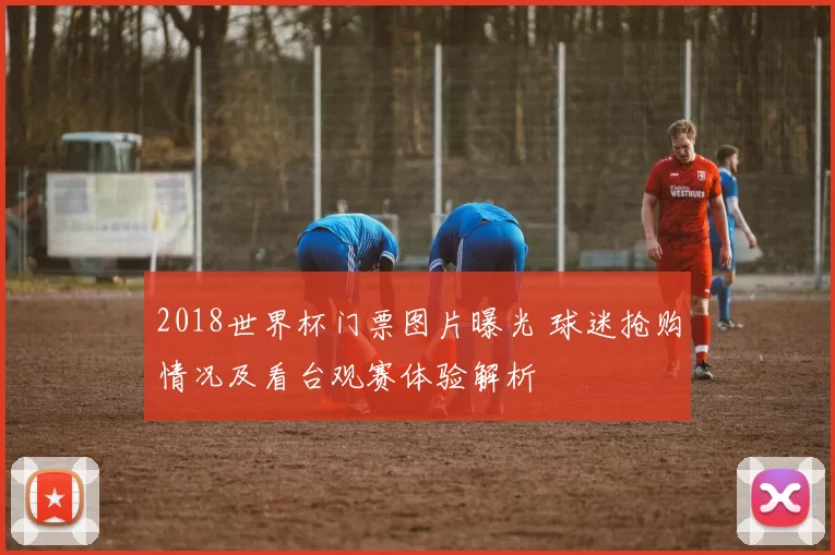 2018世界杯门票图片曝光 球迷抢购情况及看台观赛体验解析